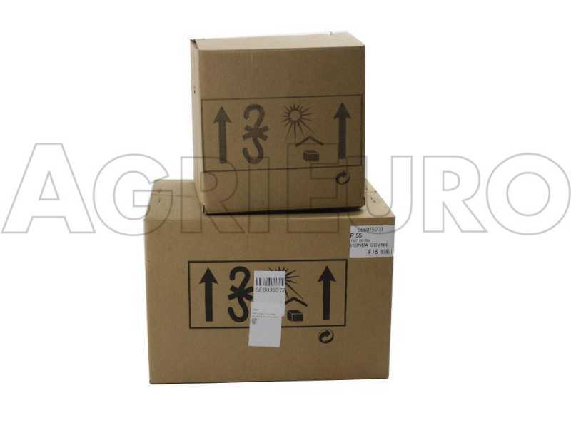 Eurosystems P55 - Motocultor de gasolina - Loncin LC1P70F-3 - 6.5HP