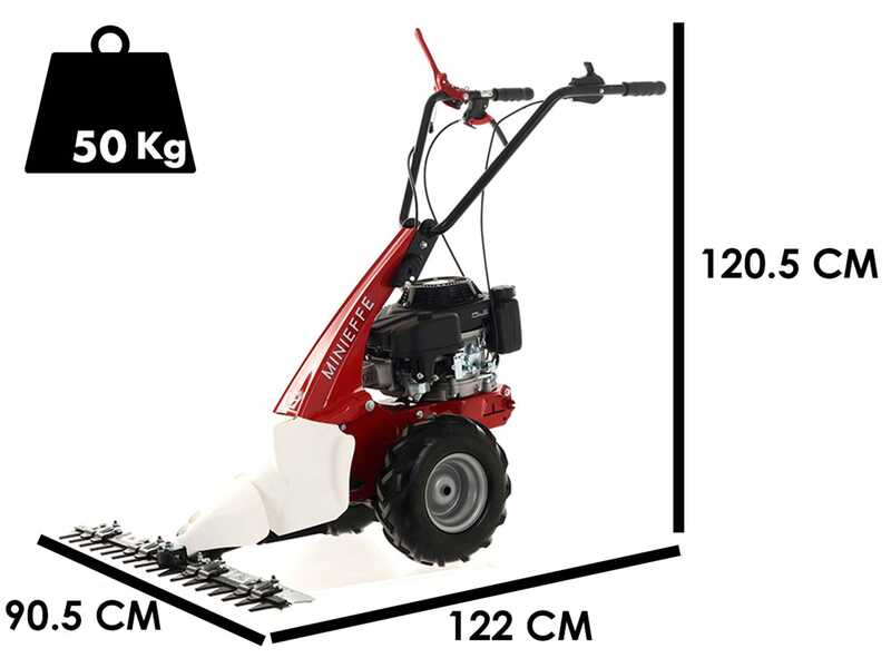 Eurosystem Minieffe - Motosegadora multifunci&oacute;n - Loncin L200 OHV