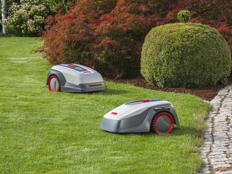 Robolinho AL-KO 800 W - Robot cortac&eacute;sped - Con cable perimetral