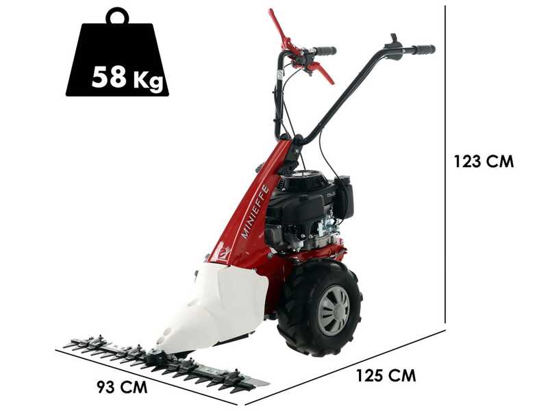 Eurosystems Minieffe RM -Motosegadora multifunci&oacute;n - Loncin L200 OHV