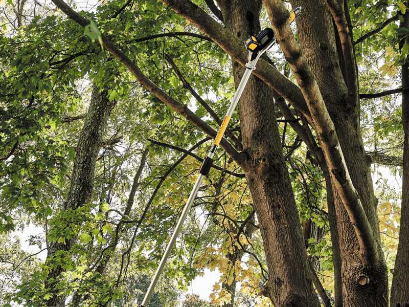 Podadora de pértiga sin cable LXT 18 V x 2 - 20 m/s - 12 de Makita