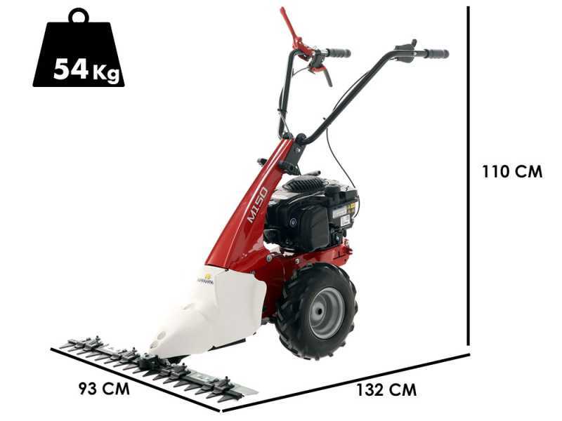 Eurosystems Minieffe M150 - Motosegadora multifunci&oacute;n - B&amp;S 625 EXi