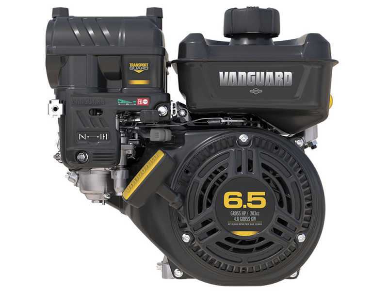 GeoTech LV650 SPBS Deluxe - Aspirador de hojas - Biotrituradora autopropulsado de marchas - B&amp;S Vanguard