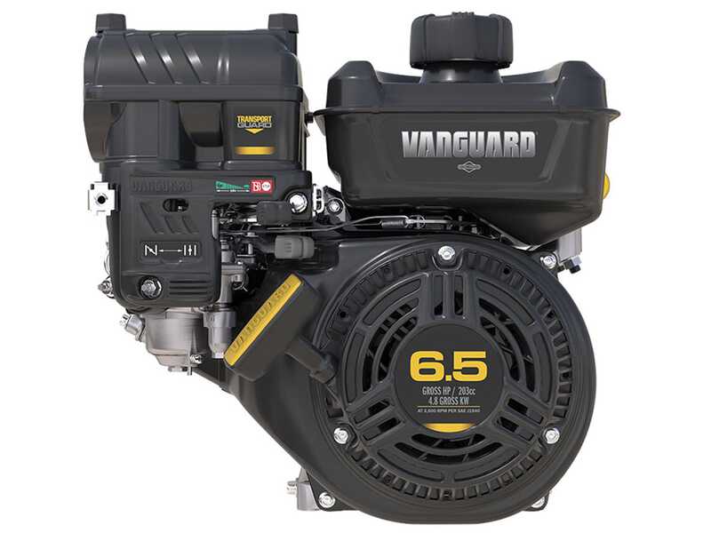 GeoTech Pro LV650 SPBS Deluxe - Aspirador de hojas - Biotrituradora autopropulsado de marchas - B&amp;S Vanguard