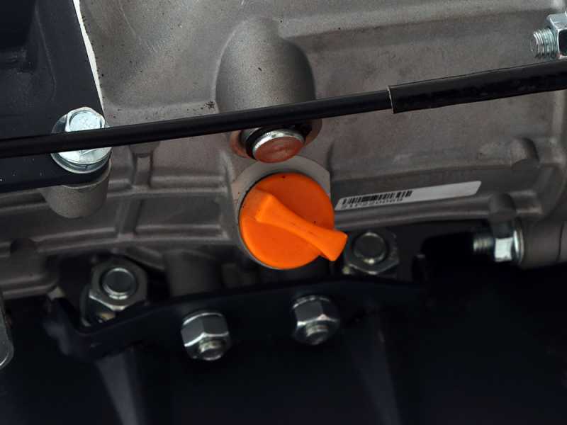 BlackStone MHG 1800 - Motoazada de gasolina de 212cc - 7 HP