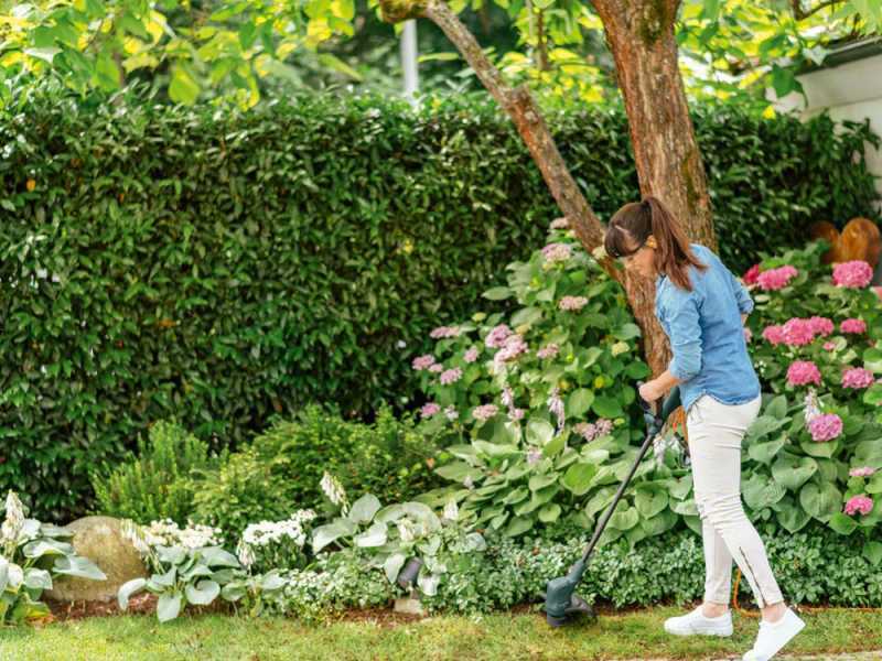 Bosch EasyGrassCut 23 - Cortabordes el&eacute;ctrico - 280 W