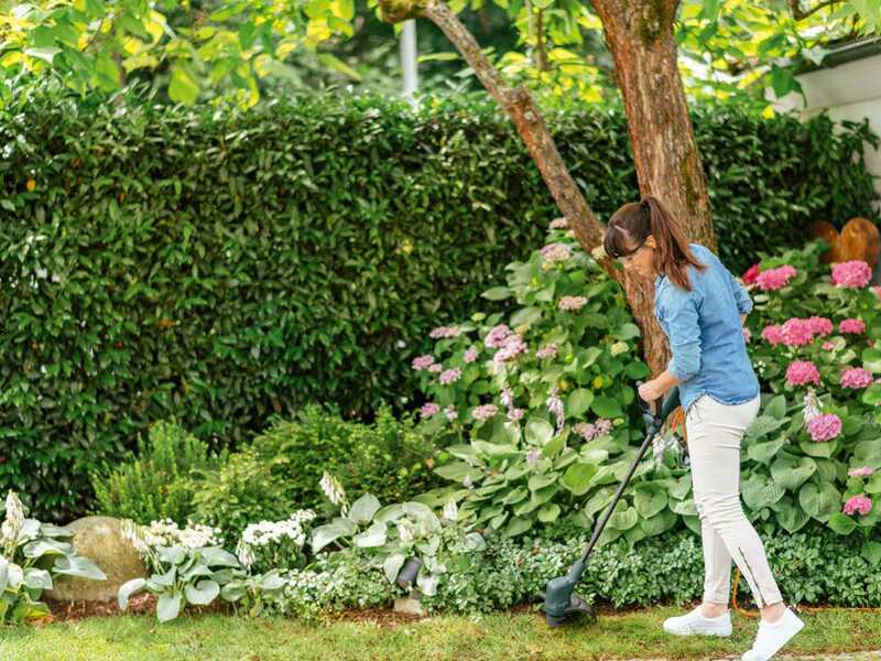 Bosch EasyGrassCut 23 - Cortabordes el&eacute;ctrico - 280 W