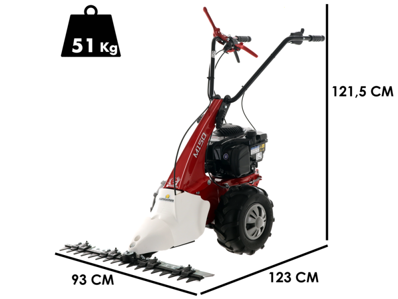 Eurosystems Minieffe M150 RM - Motosegadora multifunci&oacute;n - B&amp;S 625 EXi