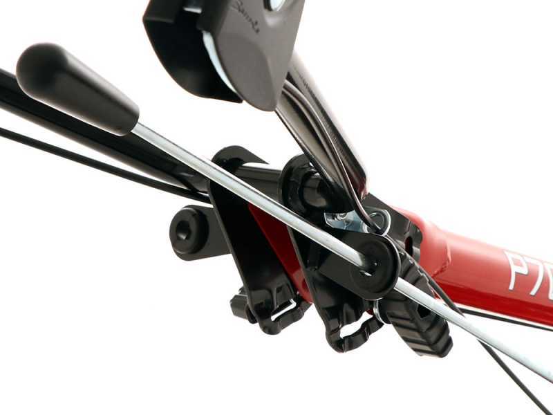 Eurosystems P 70 EVO - Motosegadora multifunci&oacute;n rotativa - Loncin 224 OHV