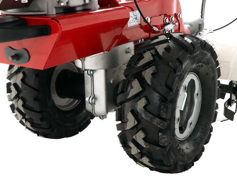 Eurosystems P 70 EVO - Motosegadora multifunci&oacute;n rotativa - Loncin 224 OHV