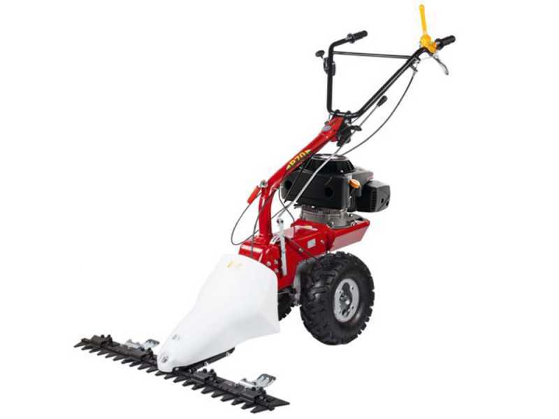 Eurosystems P70 EVO - Motosegadora multifunci&oacute;n de doble cuchilla - Loncin 224 OHV