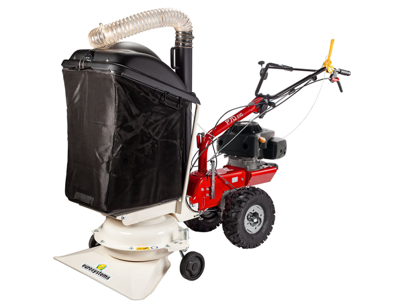 represa Imperial Escarchado Aspirador de hojas Eurosystems P70 EVO Loncin en Oferta | AgriEuro