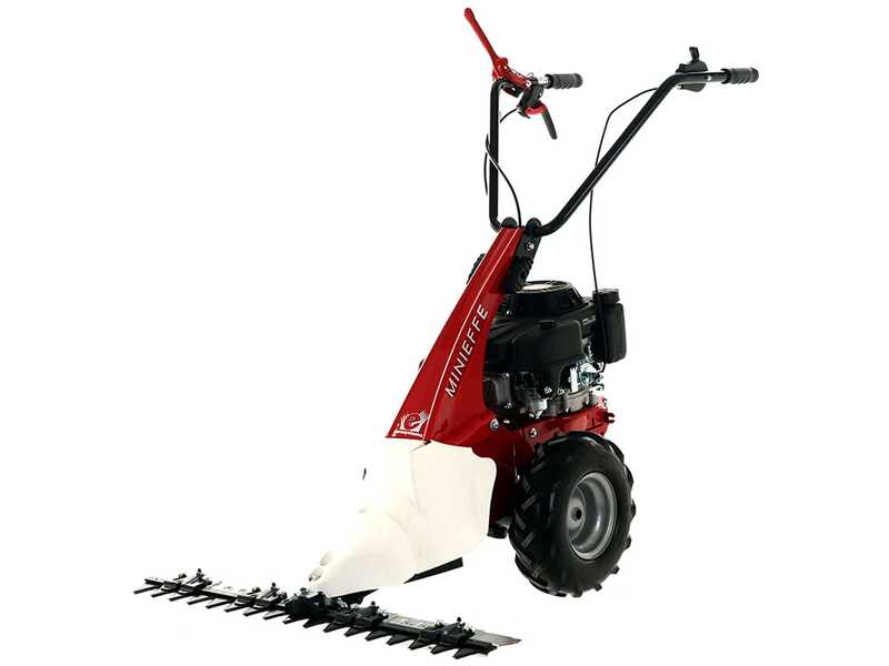 Eurosystems Minieffe - Desbrozadora de gasolina - Cuchilla - Loncin 196 OHV