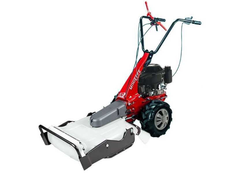 Eurosystems Minieffe RM - Desbrozadora de gasolina - Cuchilla - Loncin 196 OHV