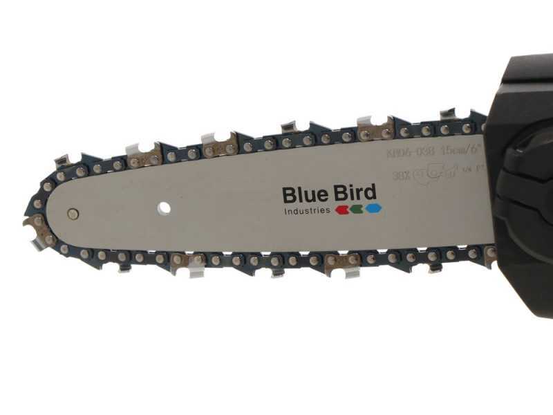 Podadora Telescópica Inalámbrica Blue Bird PCS 22-10 por solo € 399