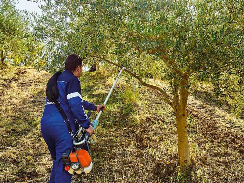 Campagnola GSM Toro Evoluzione K - P&eacute;rtiga fija - 277 cm - Vibrador de mezcla con gancho