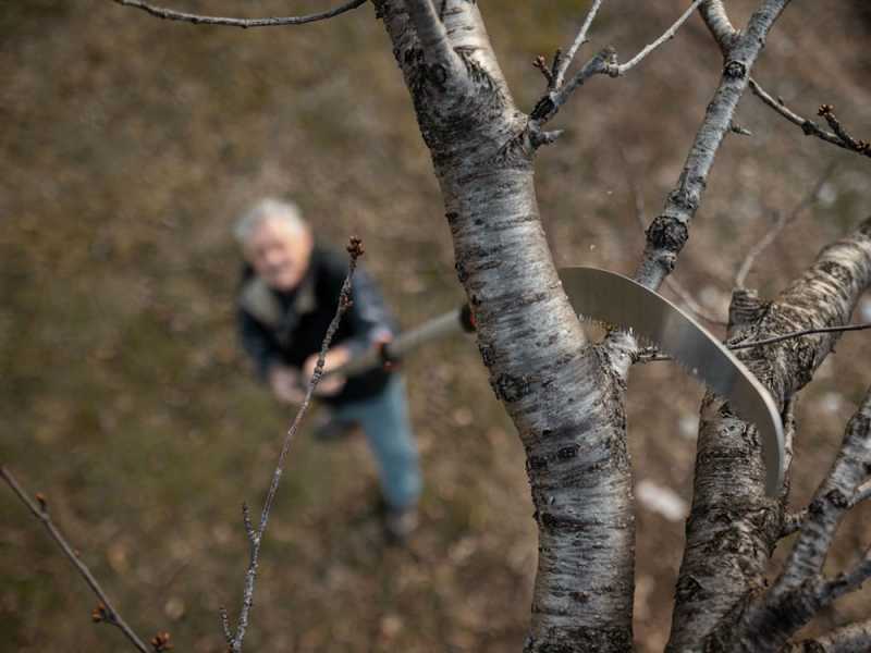 Serrucho Stocker Corvo 430 TC