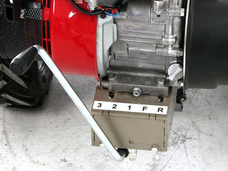 Benassi T603 - Desbrozadora profesional de martillos - Honda GX200