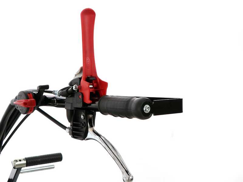 Benassi T900P - Desbrozadora profesional de martillos - Honda GX390