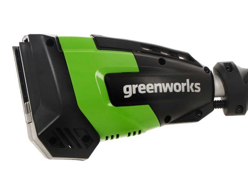 PROMO Cortasetos de bater&iacute;a sobre p&eacute;rtiga Greenworks G48PHT 48 V - BATER&Iacute;A ADICIONAL GRATIS