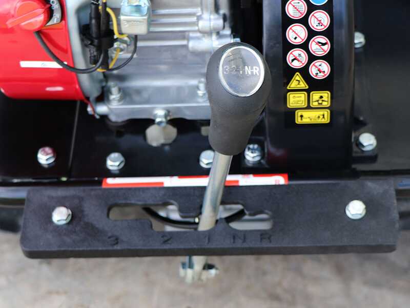 Carretilla con motor de orugas Wortex SFH 300 - Caj&oacute;n extensible con capacidad de 300 kg