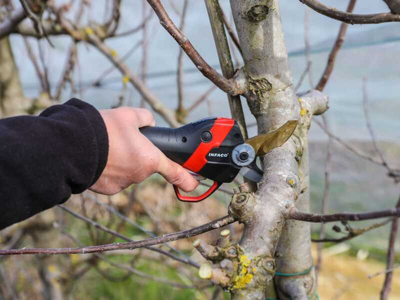 Tijera el&eacute;ctrica de poda Infaco F3020 - Kit est&aacute;ndar &Oslash; 40 mm para huertos frutales y vi&ntilde;as