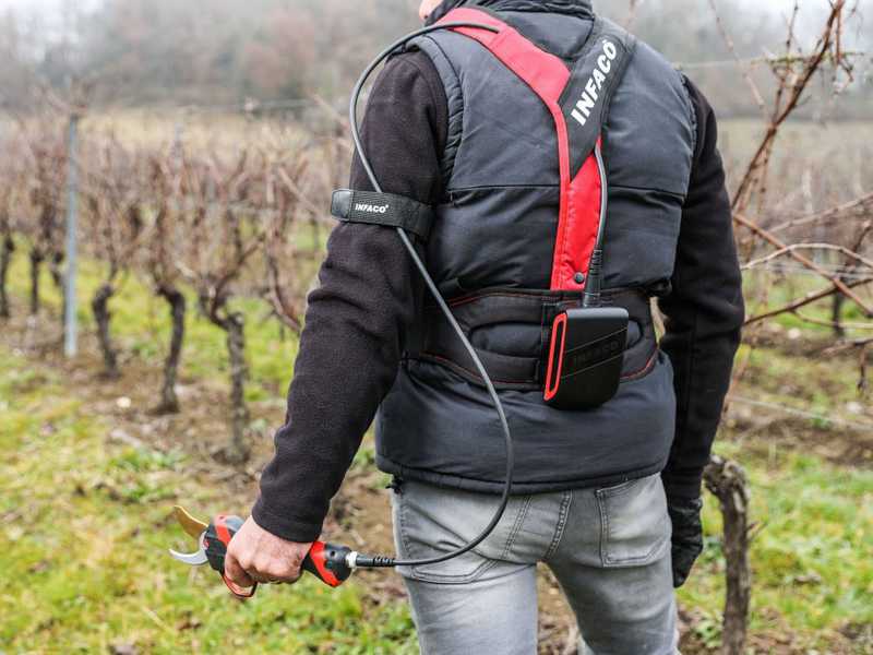 Tijera el&eacute;ctrica de poda Infaco F3020 con p&eacute;rtiga telesc&oacute;pica en carbono telesc&oacute;pica 147.5-212 cm - Kit est&aacute;ndar &Oslash; 40 mm - bater&iacute;a y mochila de serie