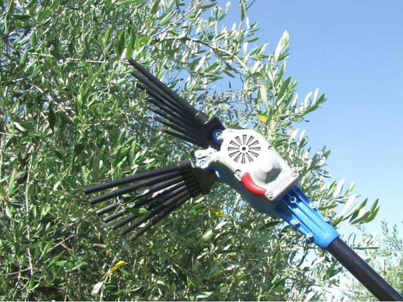 Vareador de aceitunas el&eacute;ctrico a bater&iacute;a Lisam Oliwatt 2 - Con dientes de nailon - P&eacute;rtiga fija