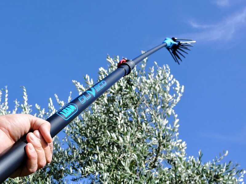 Lisam Oliveco - Vareador de aceitunas el&eacute;ctrico de bater&iacute;a - Con dientes en nailon  - 230-330 cm - P&eacute;rtiga telesc&oacute;pica