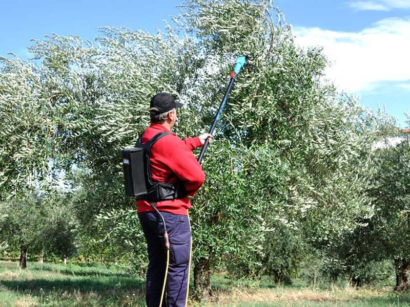 Lisam Oliveco - Vareador de aceitunas el&eacute;ctrico de bater&iacute;a - Con dientes en nailon  - 230-330 cm - P&eacute;rtiga telesc&oacute;pica