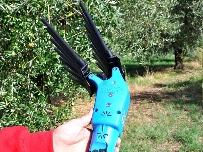 Lisam Oliveco - Vareador de aceitunas el&eacute;ctrico de bater&iacute;a - Con dientes en nailon  - 230-330 cm - P&eacute;rtiga telesc&oacute;pica