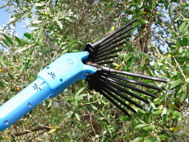 Lisam Oliveco - Vareador de aceitunas el&eacute;ctrico de bater&iacute;a - Con dientes en nailon  - 230-330 cm - P&eacute;rtiga telesc&oacute;pica