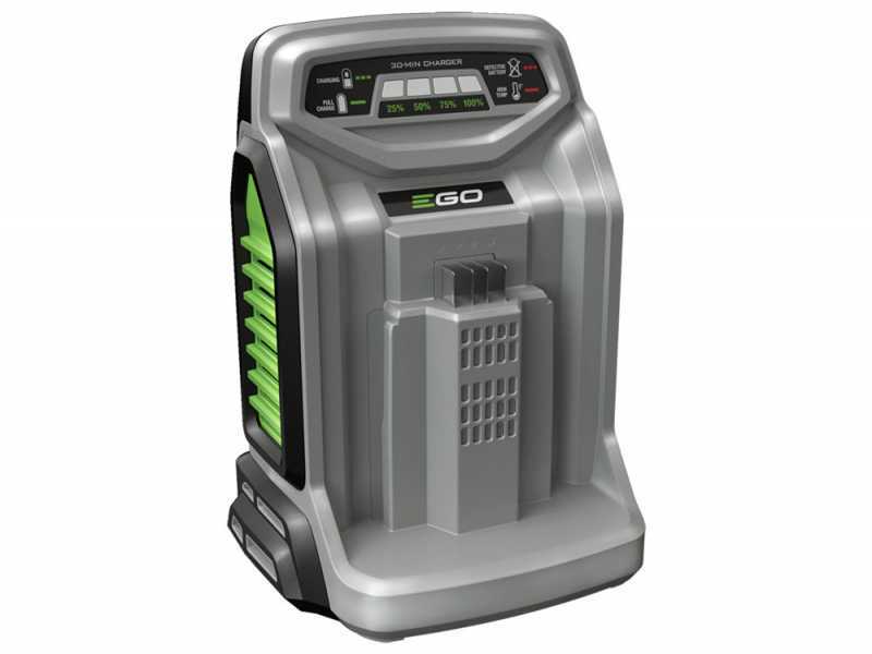 PROMO EGO Lotus - Vareador de aceitunas 56 V - Bater&iacute;a de 10Ah - P&eacute;rtiga fija