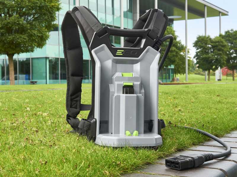 PROMO EGO Lotus - Vareador de aceitunas 56 V - Bater&iacute;a de 10Ah - P&eacute;rtiga fija