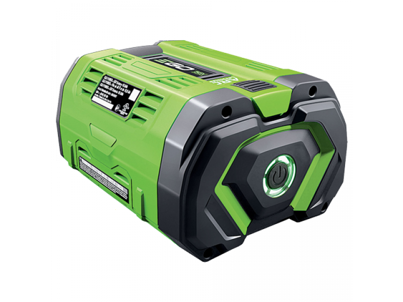 PROMO EGO Lotus - Vareador de aceitunas 56 V - Bater&iacute;a de 10Ah - P&eacute;rtiga fija