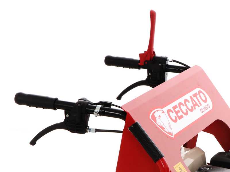 Carretilla con motor CECCATO CINGOLONE - Caj&oacute;n extensible - Capacidad 350 kg