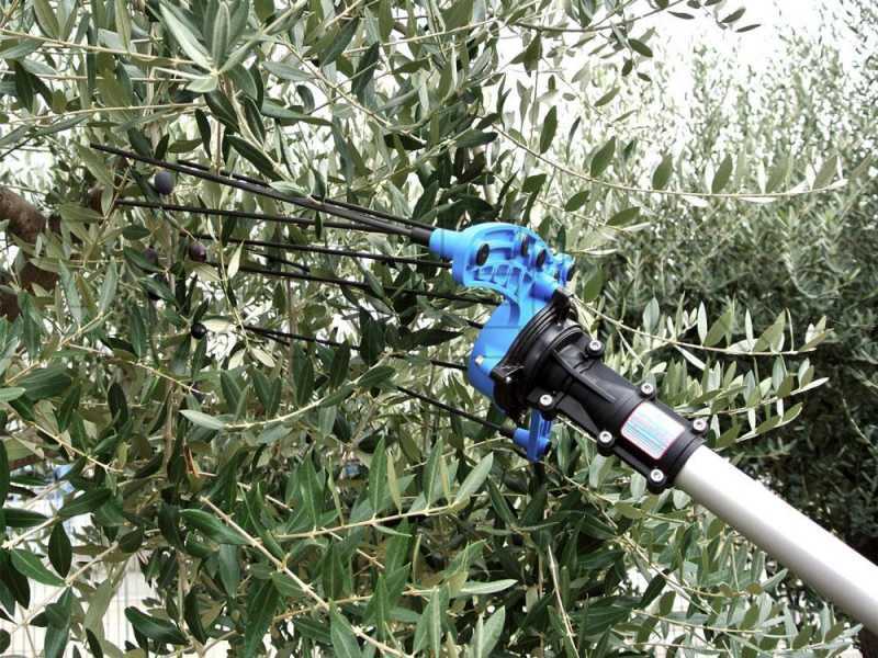 Campagnola HERCULES 58 V - P&eacute;rtiga de carbono de 185-270 cm - Vareador de aceitunas el&eacute;ctrico de bater&iacute;a - Bater&iacute;a de mochila incluida