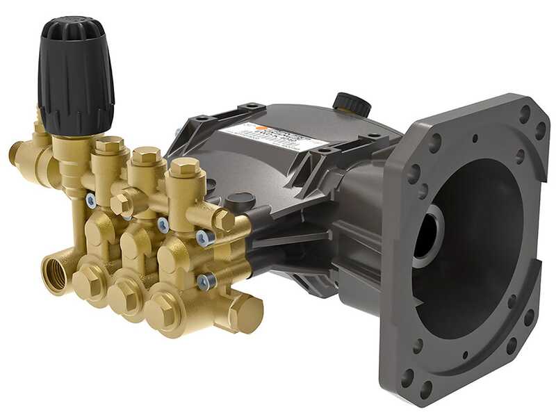 Hidrolimpiadora de gasolina AgriEuro Top-Line EWD-K 15/310 - Motor Loncin G390F