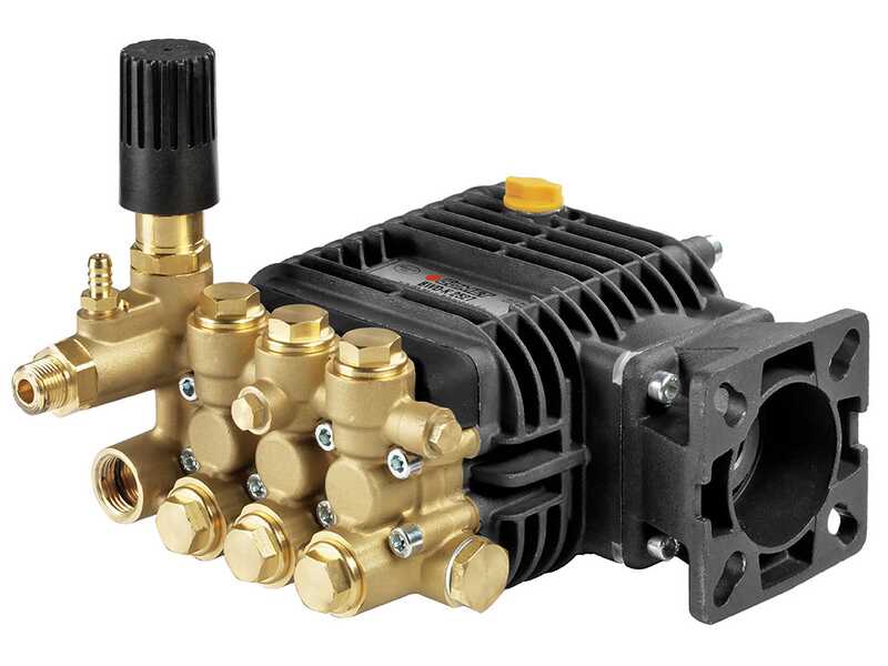 Hidrolimpiadora de gasolina AgriEuro Top-Line BWD-K 11/200 - Motor Honda GX200