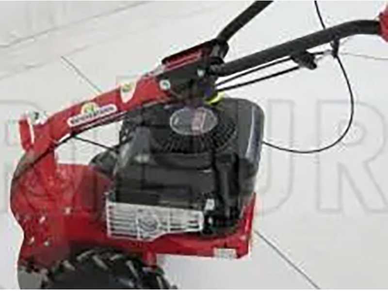 Eurosystems M210 - Motosegadora de doble cuchilla - B&amp;S 625