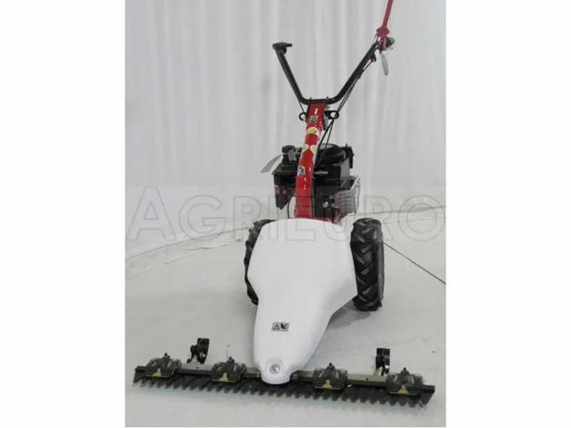 Eurosystems M210 - Motosegadora de doble cuchilla - B&amp;S 625