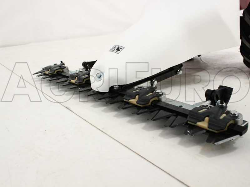 Eurosystems M210 - Motosegadora de doble cuchilla - B&amp;S 450E