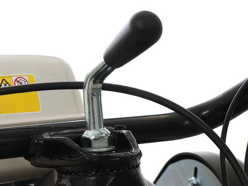 Lampacrescia MGM TTR560 - Desbrozadora de ruedas con martillos - Honda GX160