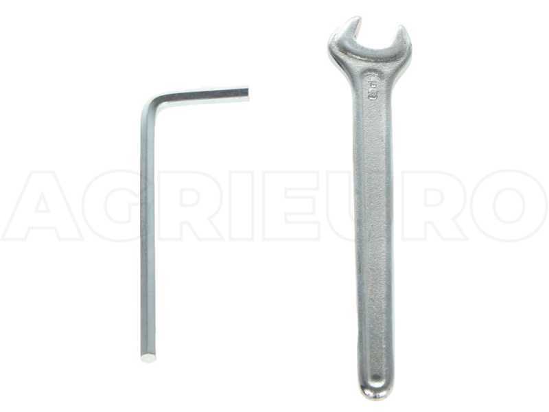 Vareador de ar&aacute;ndanos el&eacute;ctrico Campagnola Starberry MD2 - 3 bater&iacute;as 14.4V 2.5AH