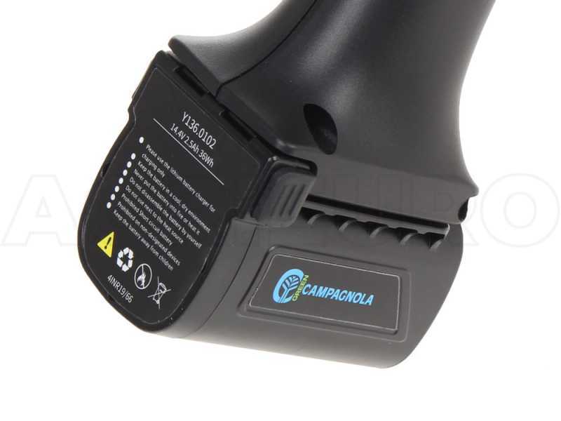 Vareador de ar&aacute;ndanos el&eacute;ctrico Campagnola Starberry MD2 - 3 bater&iacute;as 14.4V 2.5AH