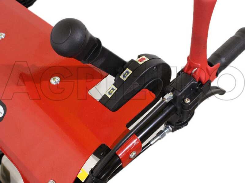 GINKO TR 660 - Carretilla de orugas a gasolina caj&oacute;n dumper - Motor Honda GX 200