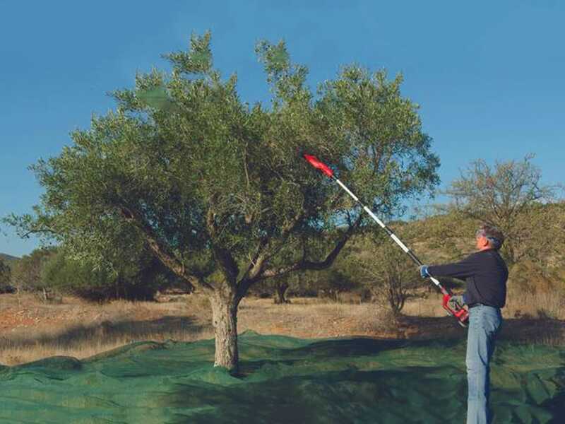 Einhell GE-FS 18/53 - Vareador de aceitunas de bater&iacute;a - P&eacute;rtiga telesc&oacute;pica - 220-310 cm - 18 V 4 Ah