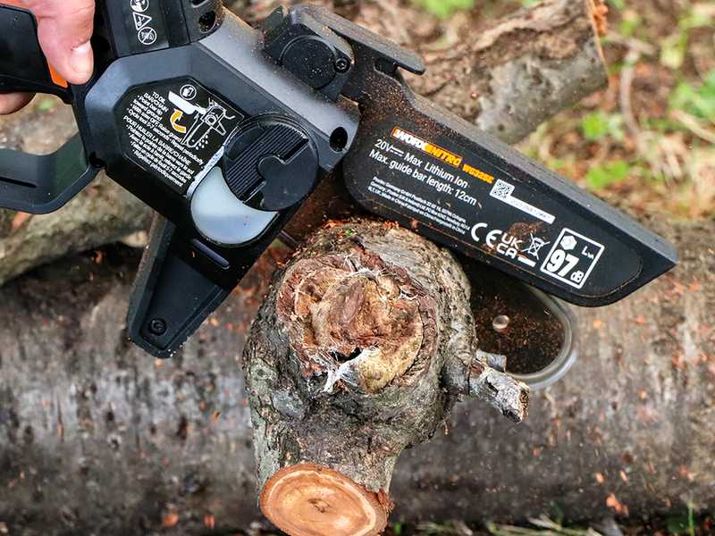 Podadora manual de bater&iacute;a Worx Nitro WG325E - 20V/2Ah