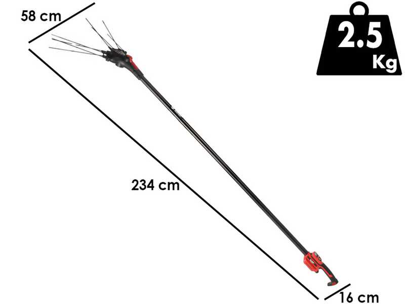Blue Bird Egeo 23-50 - Vareador de aceitunas de bater&iacute;a - 12 V - P&eacute;rtiga fija 235 cm