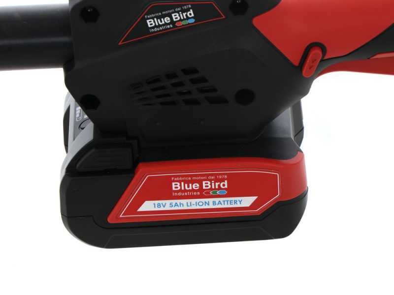 Blue Bird PCS 22-10 - Podadora telesc&oacute;pica de bater&iacute;a - 2x 21V 5Ah